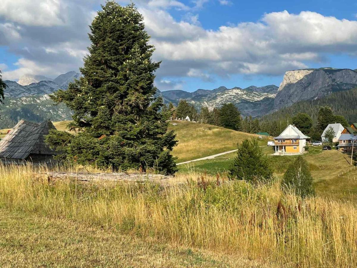Apartman Bukovac Žabljak Exterior foto