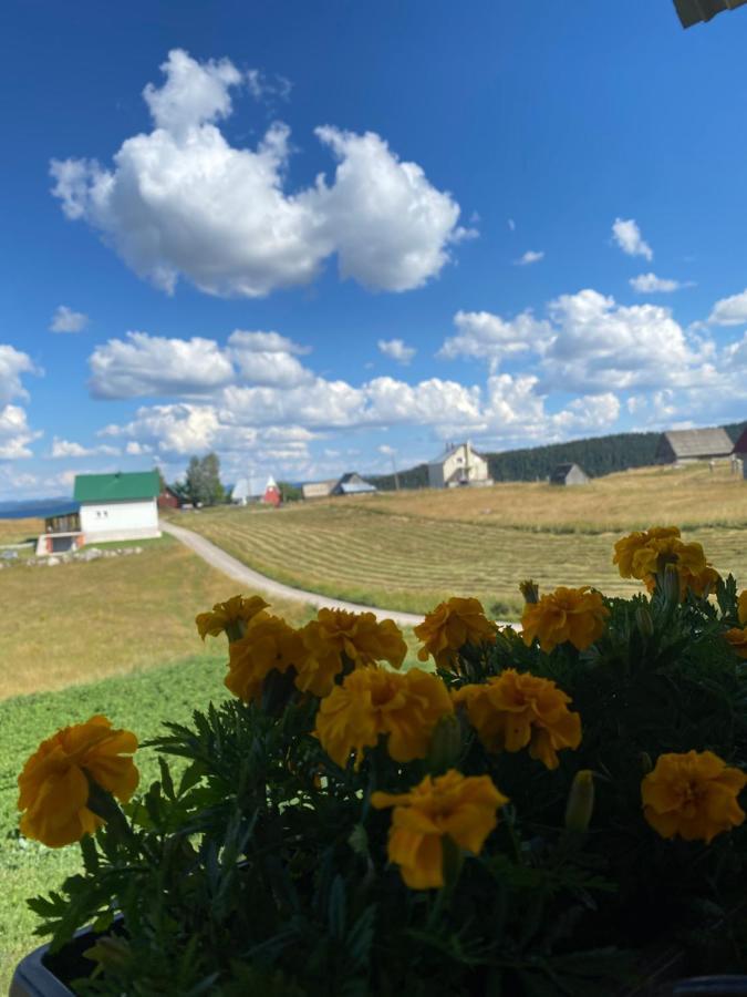 Apartman Bukovac Žabljak Exterior foto